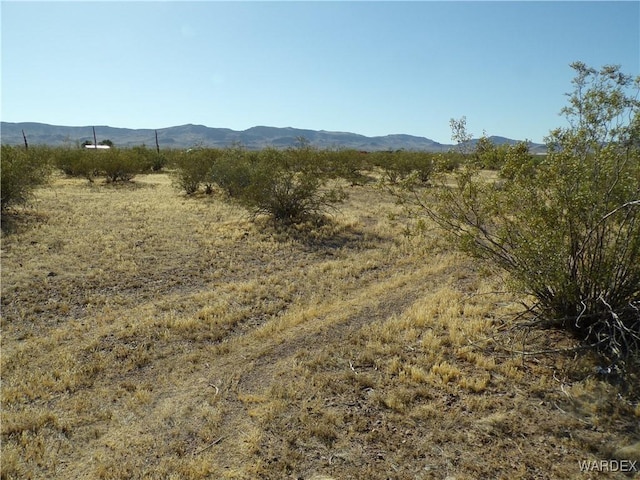 Listing photo 3 for 0 N Ehrenberg Rd, Golden Valley AZ 86413