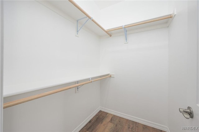 spacious closet featuring dark wood-style flooring