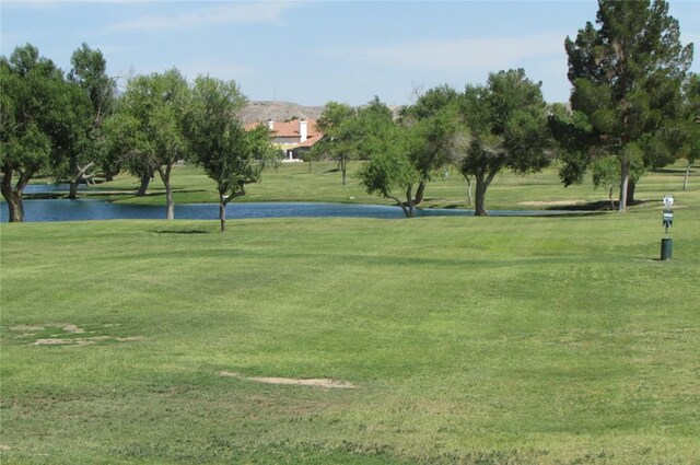 1236 Lause Rd, Bullhead City, AZ 86442 - photo 35