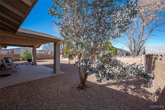 view of yard with a patio area and a fenced backyard