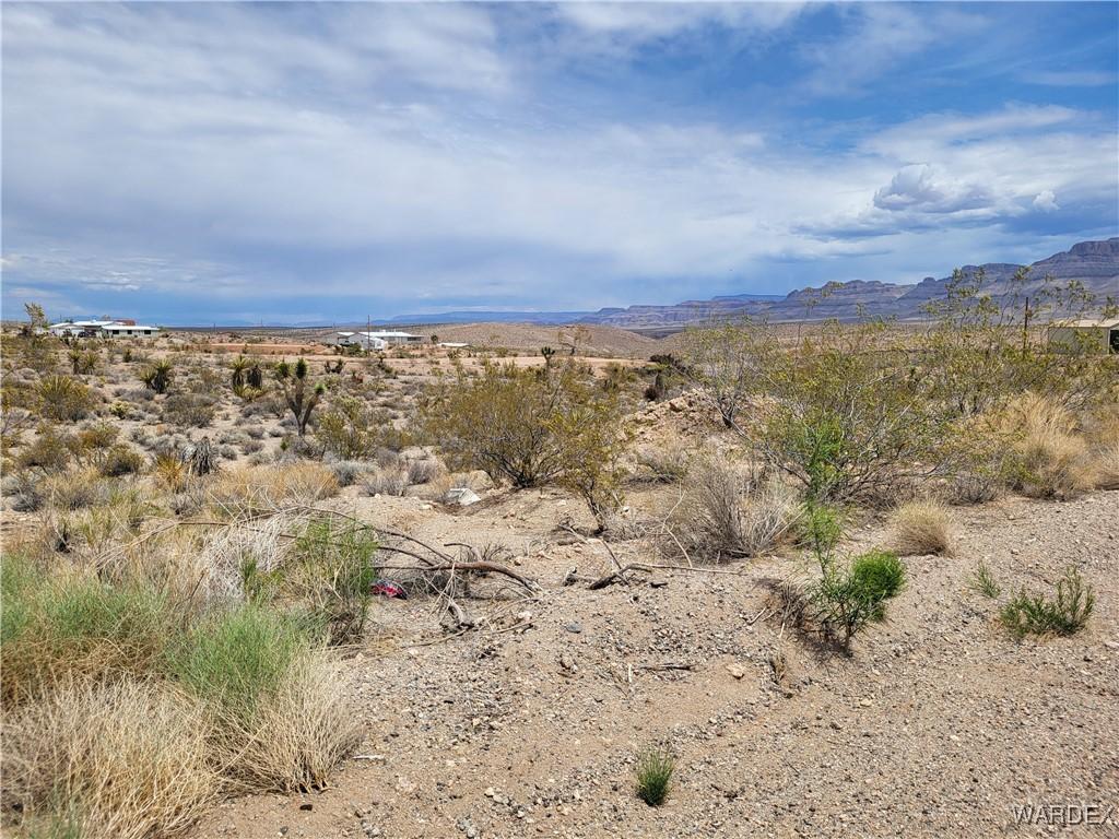 1315 E Hance Dr Unit 163, Meadview, AZ 86444