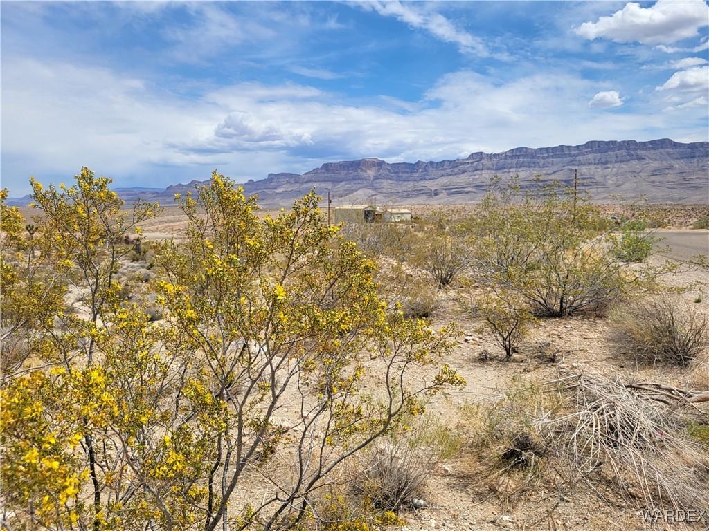 1315 E Hance Dr Unit 163, Meadview, AZ 86444
