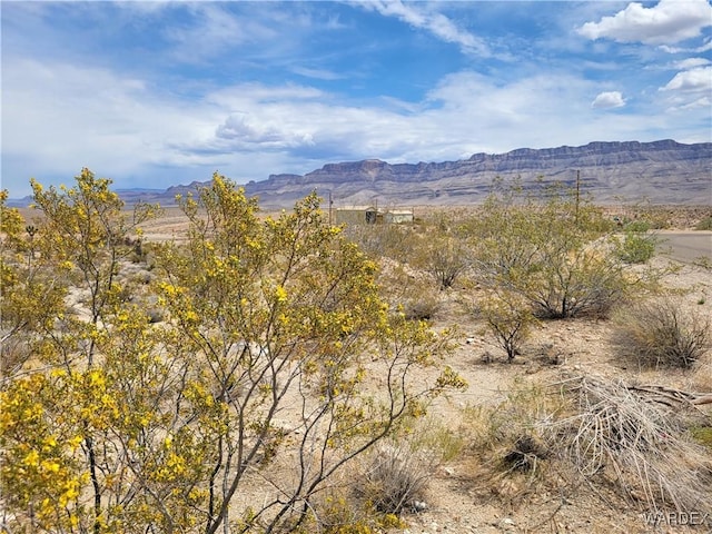 1315 E Hance Dr Unit 163, Meadview, AZ 86444