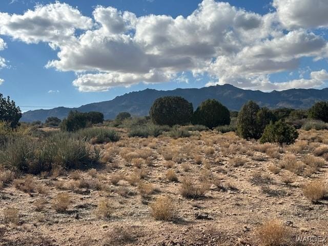 000 Running Brook Dr, Hackberry AZ, 86411 land for sale