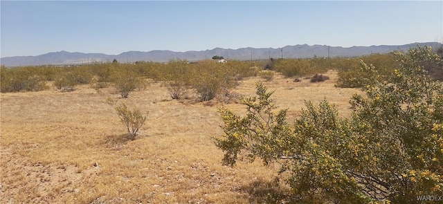 000 S Cowlic Rd Unit 85, Golden Valley, AZ 86413 - photo 4