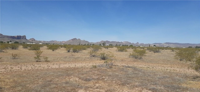 000 S Cowlic Rd Unit 85, Golden Valley, AZ 86413 - photo 3