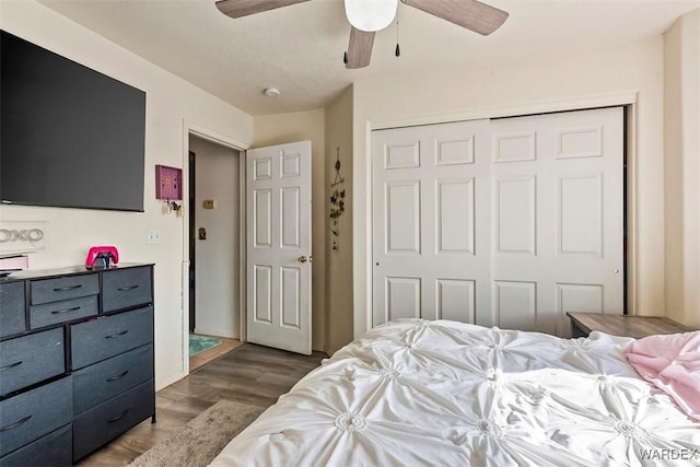 bedroom with dark wood-type flooring, a ceiling fan, and a closet