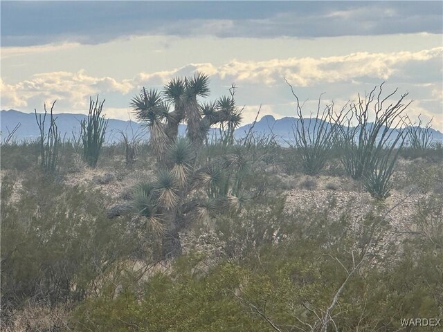 TBD Santa Fe Ranch Road, Yucca, AZ 86438