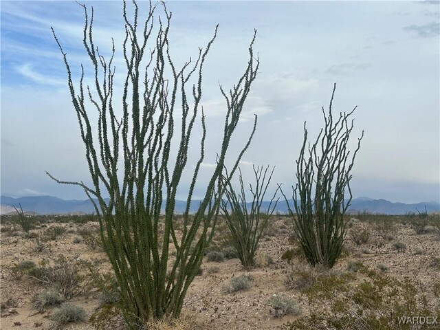 TBD Santa Fe Ranch Road, Yucca, AZ 86438