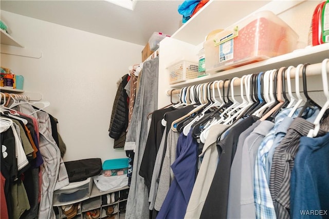 view of walk in closet