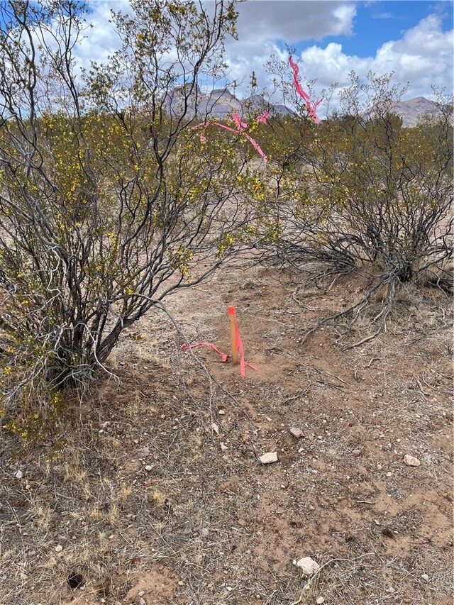 LOT5 S Dome Rd, Golden Valley, AZ 86413 - photo 13