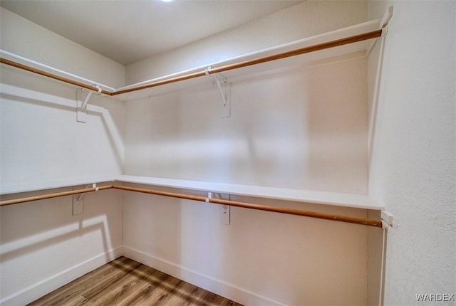 walk in closet with light wood-type flooring