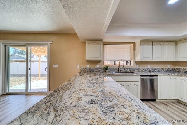 kitchen with a sink, light wood-type flooring, a tray ceiling, and dishwasher