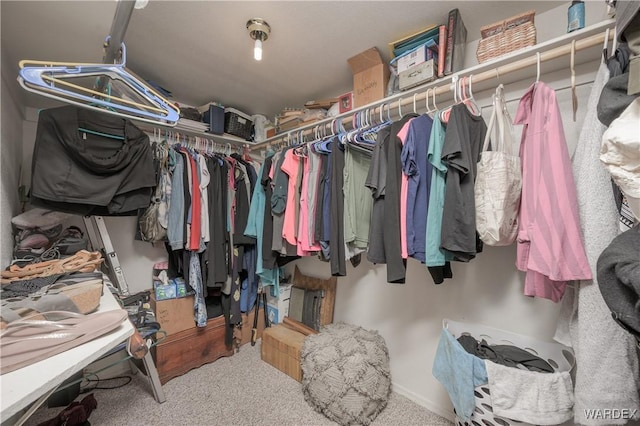 spacious closet featuring carpet flooring