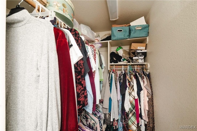 view of spacious closet