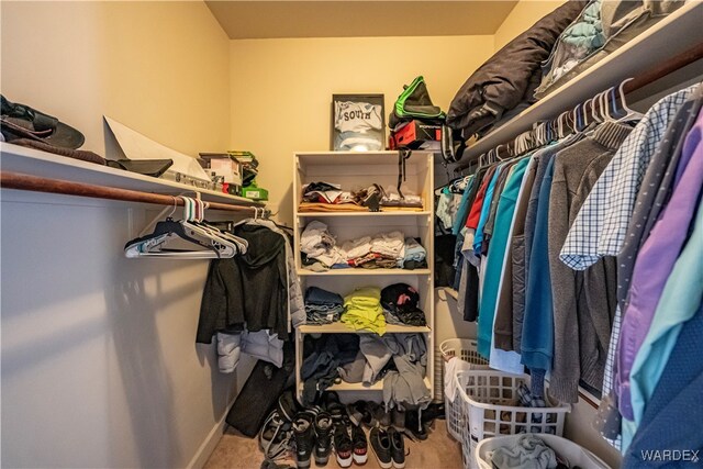 spacious closet with carpet