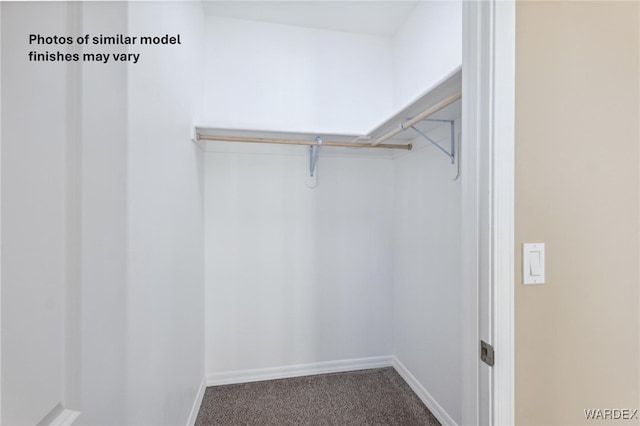 walk in closet with carpet flooring