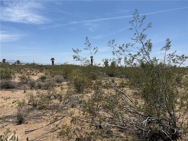 0 E Horse Mesa Rd, Golden Valley, AZ 86413 - photo 1
