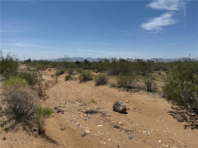 0 E Horse Mesa Rd, Golden Valley, AZ 86413 - photo 2