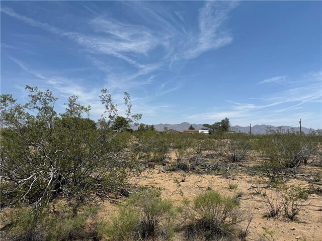 0 E Horse Mesa Rd, Golden Valley, AZ 86413 - photo 6