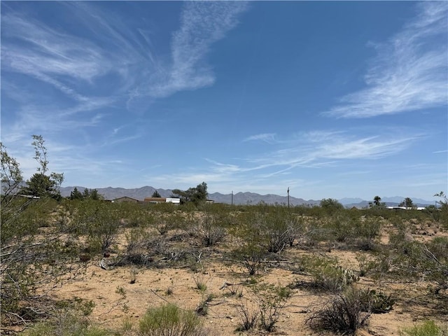 0 E Horse Mesa Rd, Golden Valley, AZ 86413 - photo 7