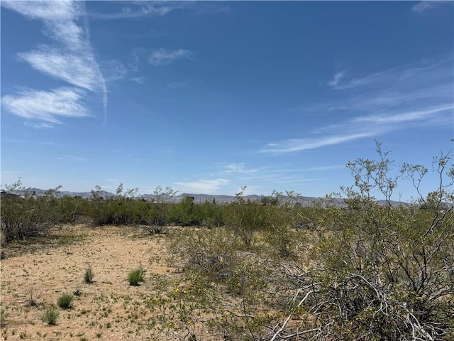 0 E Horse Mesa Rd, Golden Valley, AZ 86413 - photo 3