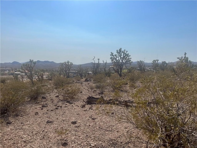 328-04-263 N Mariposa, Dolan Springs, AZ 86441 - photo 17