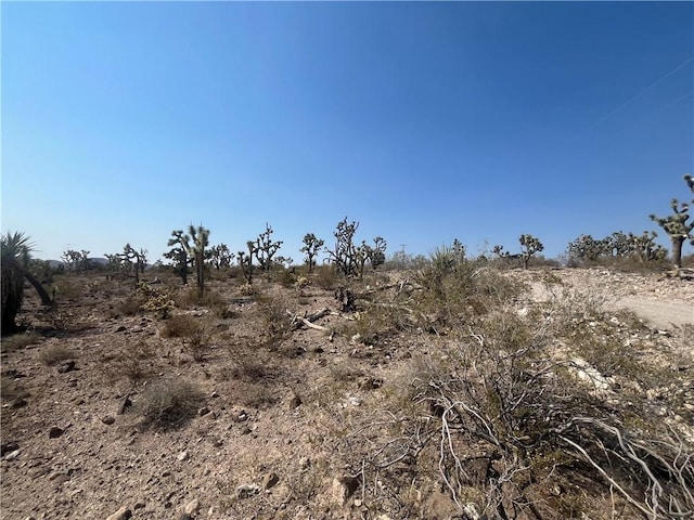 328-04-263 N Mariposa, Dolan Springs, AZ 86441 - photo 7