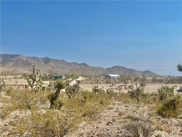 328-04-263 N Mariposa, Dolan Springs, AZ 86441 - photo 3