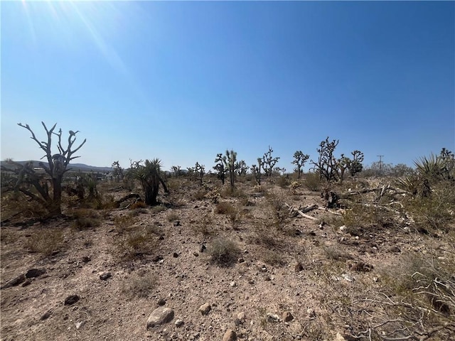 328-04-263 N Mariposa, Dolan Springs, AZ 86441 - photo 8