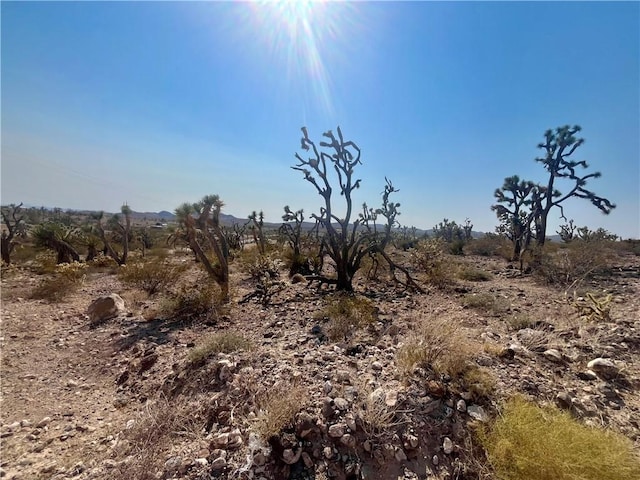 328-04-263 N Mariposa, Dolan Springs, AZ 86441 - photo 15