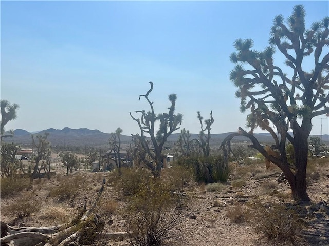 328-04-263 N Mariposa, Dolan Springs, AZ 86441 - photo 4