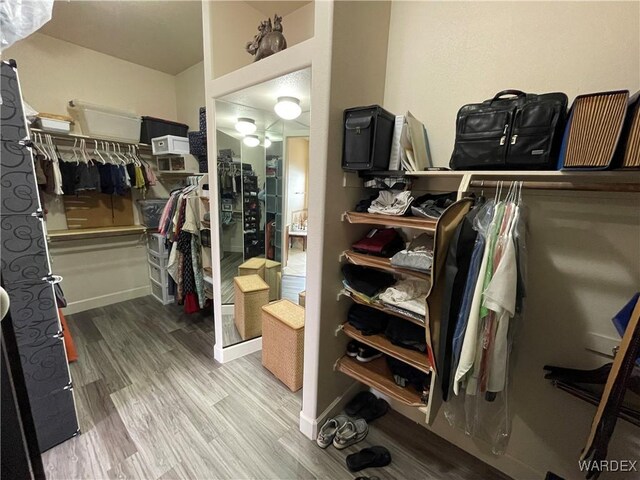 walk in closet with wood finished floors