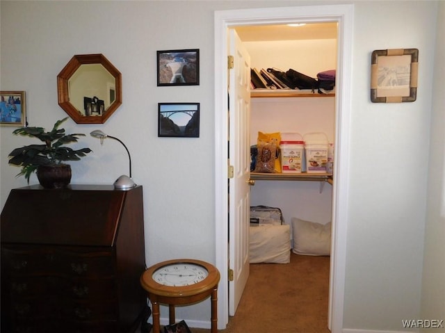 hallway featuring carpet floors