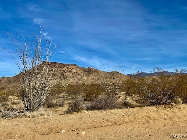 3436 E Cowboy Rd, Yucca, AZ 86438