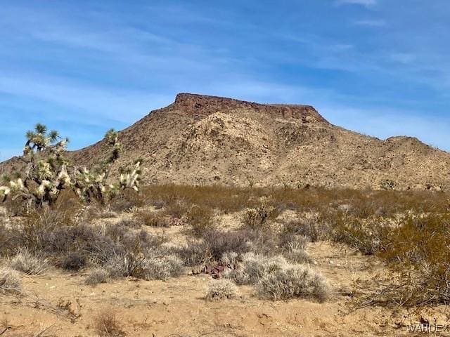 3436 E Cowboy Rd, Yucca AZ, 86438 land for sale