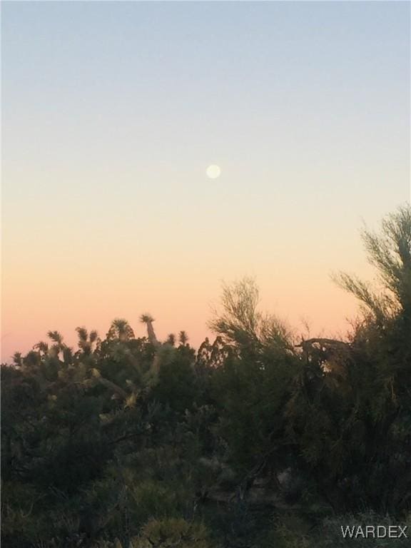 3436 E Cowboy Rd, Yucca, AZ 86438