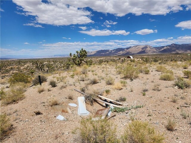 27445 N Driftwood Dr, Meadview, AZ 86444 - photo 13