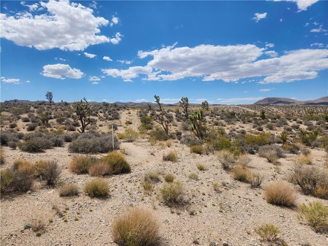 27445 N Driftwood Dr, Meadview, AZ 86444 - photo 25