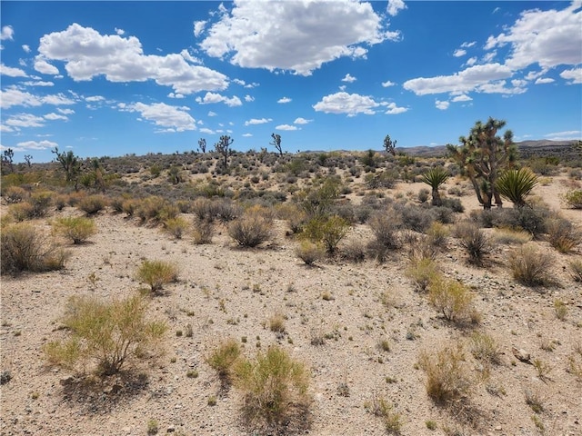 27445 N Driftwood Dr, Meadview, AZ 86444 - photo 3