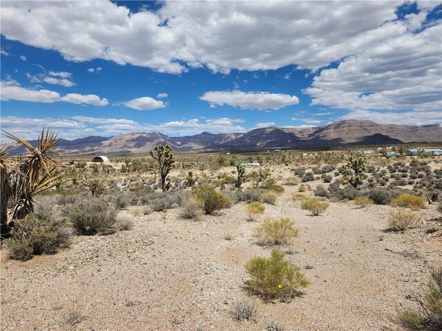 27445 N Driftwood Dr, Meadview, AZ 86444 - photo 19