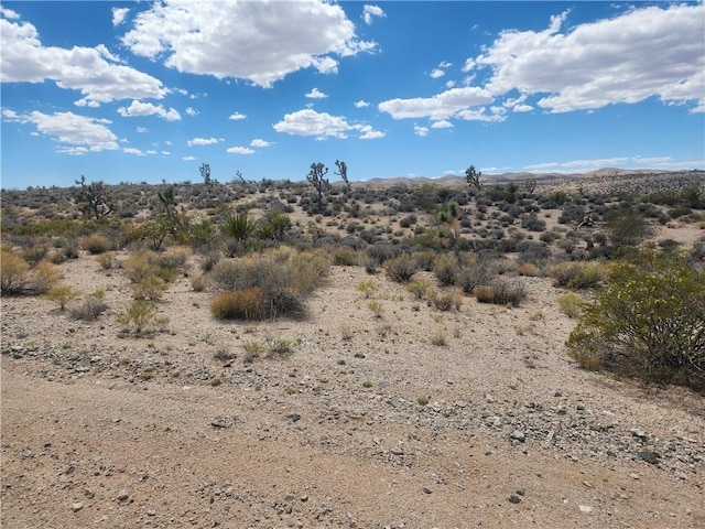 27445 N Driftwood Dr, Meadview, AZ 86444 - photo 2