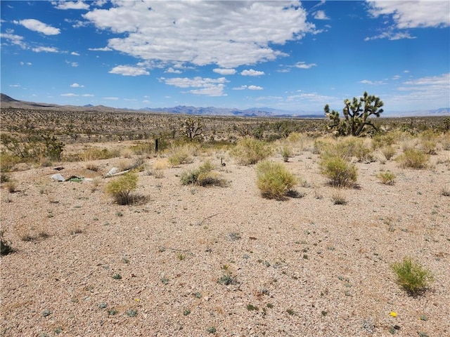 27445 N Driftwood Dr, Meadview, AZ 86444 - photo 16