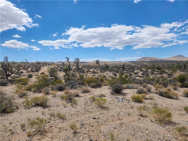 27445 N Driftwood Dr, Meadview, AZ 86444 - photo 11