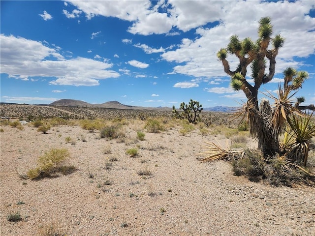 27445 N Driftwood Dr, Meadview, AZ 86444 - photo 21