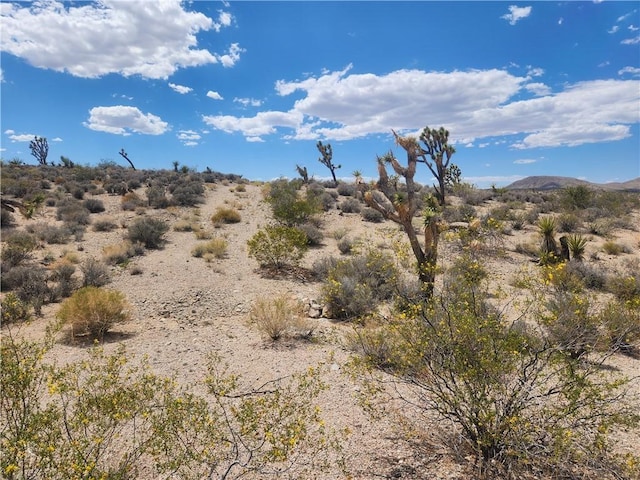 27445 N Driftwood Dr, Meadview, AZ 86444 - photo 23