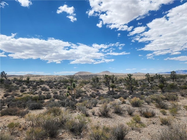 27445 N Driftwood Dr, Meadview, AZ 86444 - photo 9