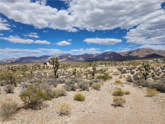 27445 N Driftwood Dr, Meadview, AZ 86444 - photo 22