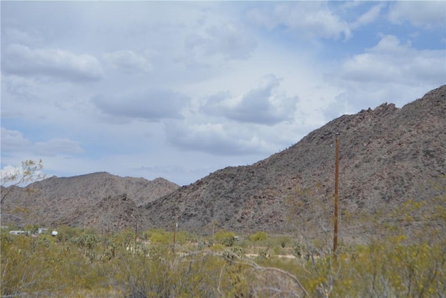 11964 S Carrow Rd, Yucca, AZ 86438