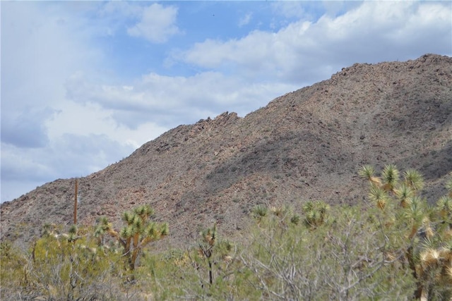 11964 S Carrow Rd, Yucca, AZ 86438
